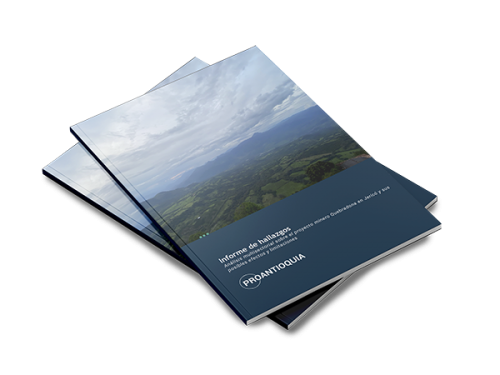 Informe de hallazgos